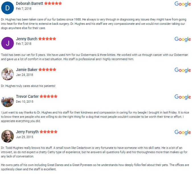 Polk Vet Care Google Reviews